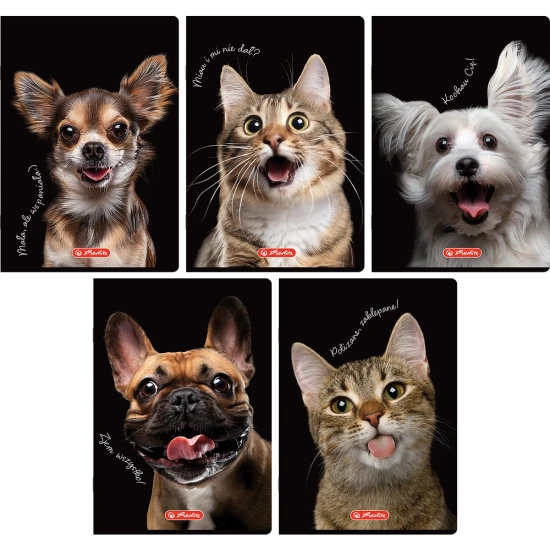 zeszyt 60 kratka herlitz crazy animal.webp