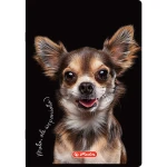 zeszyt 60 kratka herlitz crazy animal_WZÓR 02.webp