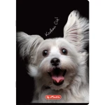 zeszyt 60 kratka herlitz crazy animal_WZÓR 05.webp