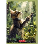 zeszyt herlitz animals_WZÓR 01.webp