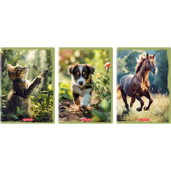 zeszyt a4 animals.webp