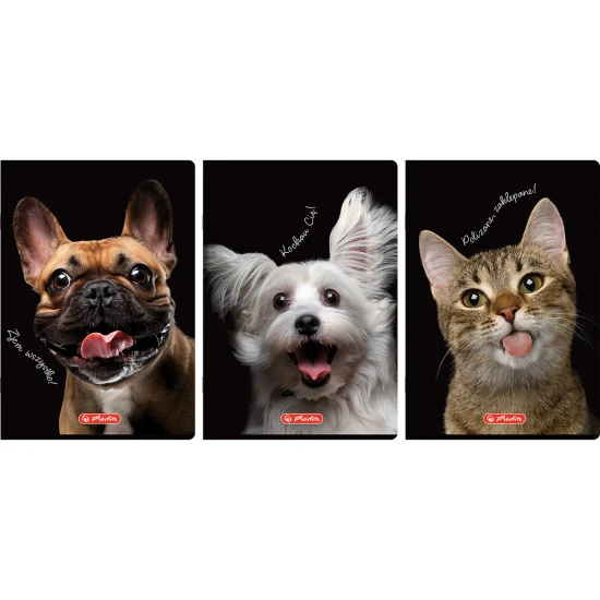 zeszyt a4 crazy animal.webp