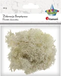 Dekoracja florystyczna mech chrobotek Titanum Craft-Fun Series 20g - beżowy