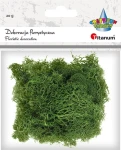 Dekoracja florystyczna mech chrobotek Titanum Craft-Fun Series 20g - zielony