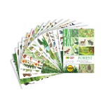 blok kreatywny happy color forest HA-3808-2030-FR_.jpg