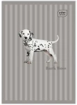 Notes A6 50# 70g (105x179) 5902277140029 3.jpg