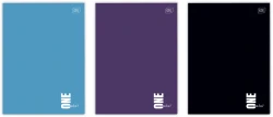 Zeszyt A4 Interdruk One Color 32-kartkowy w kratkę - różne kolory okładek