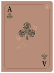 Zeszyt A5 80= M 70g Satin Gold II 5902277386922 3.jpg