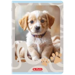 zeszyt herlitz animals 32 kartki_WZÓR 02.webp