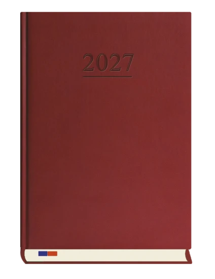 t-229v-terminarz-stacjonarny_f.png