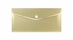 koperta biurfol dl stardust gold.jpg