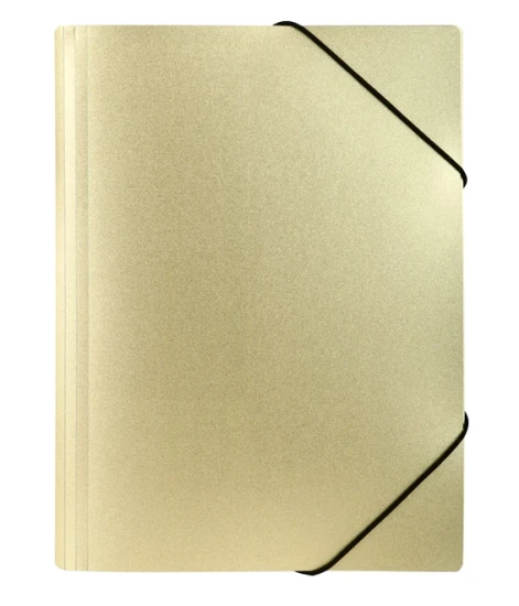 teczka stardust gold.jpg