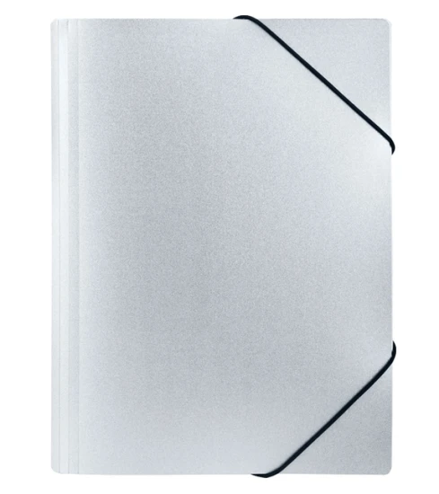 teczka stardust silver.jpg