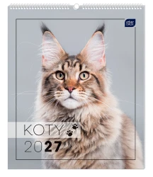 Kalendarz ścienny planszowy 2027 Interdruk - Koty