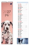 Kalendarz ścienny paskowy 12-sto planszowy 2027 Interdruk - Psy