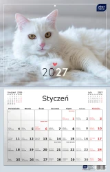 Kalendarz ścienny 2027 Interdruk - Zwierzaki