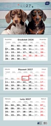 Kalendarz ścienny trójdzielny 2027 Interdruk - Psy