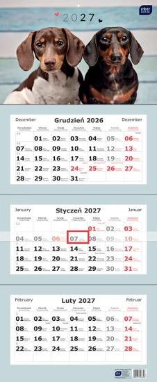Kalendarz trojdzielny 340x825 Psy 5902277397348.jpg