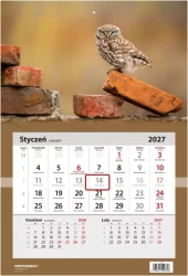 Kalendarz ścienny 2027 narcissus - Sowa