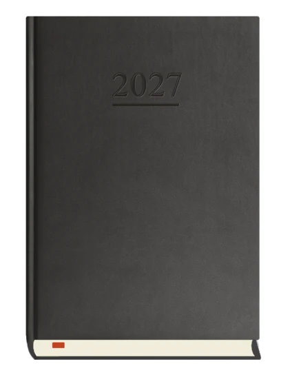 t-203v-v-terminarz-menadzera-1.webp