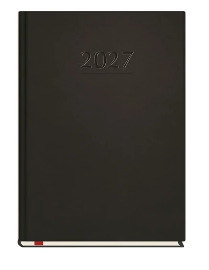 t-209v-v-terminarz-popularny-1.webp