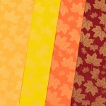 Karton_MIX_MocBarw_208921.jpg