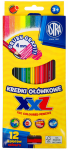 kredki ołówkowe astra 12 kolorów xxl aksa.PNG