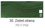 renesans 60 ml maxi acril 30 zielona oliwkowa aksa.PNG
