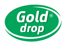 Gold-drop